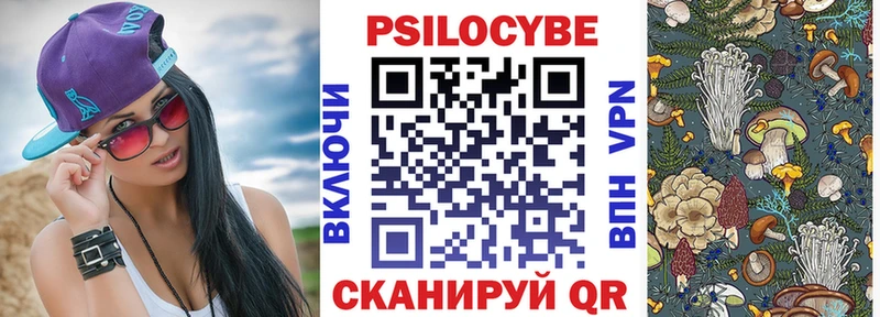 Псилоцибиновые грибы Cubensis  Называевск 